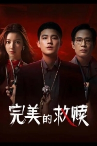 Идеальный подозреваемый