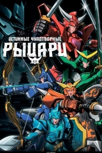 Истинные чудотворные рыцари