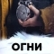Выжившие: Огни