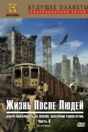 Жизнь после людей