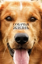 Собачья жизнь