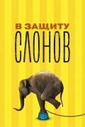В защиту слонов