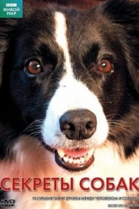 BBC: Секреты собак