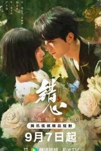 Мимолетный сон / Обман чувств