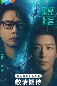 Лабиринт сверхчувственных ощущений / Лабиринт сверхчувств / Лабиринт сверхэмоций