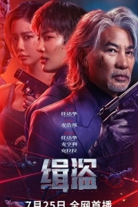 Поймать воров